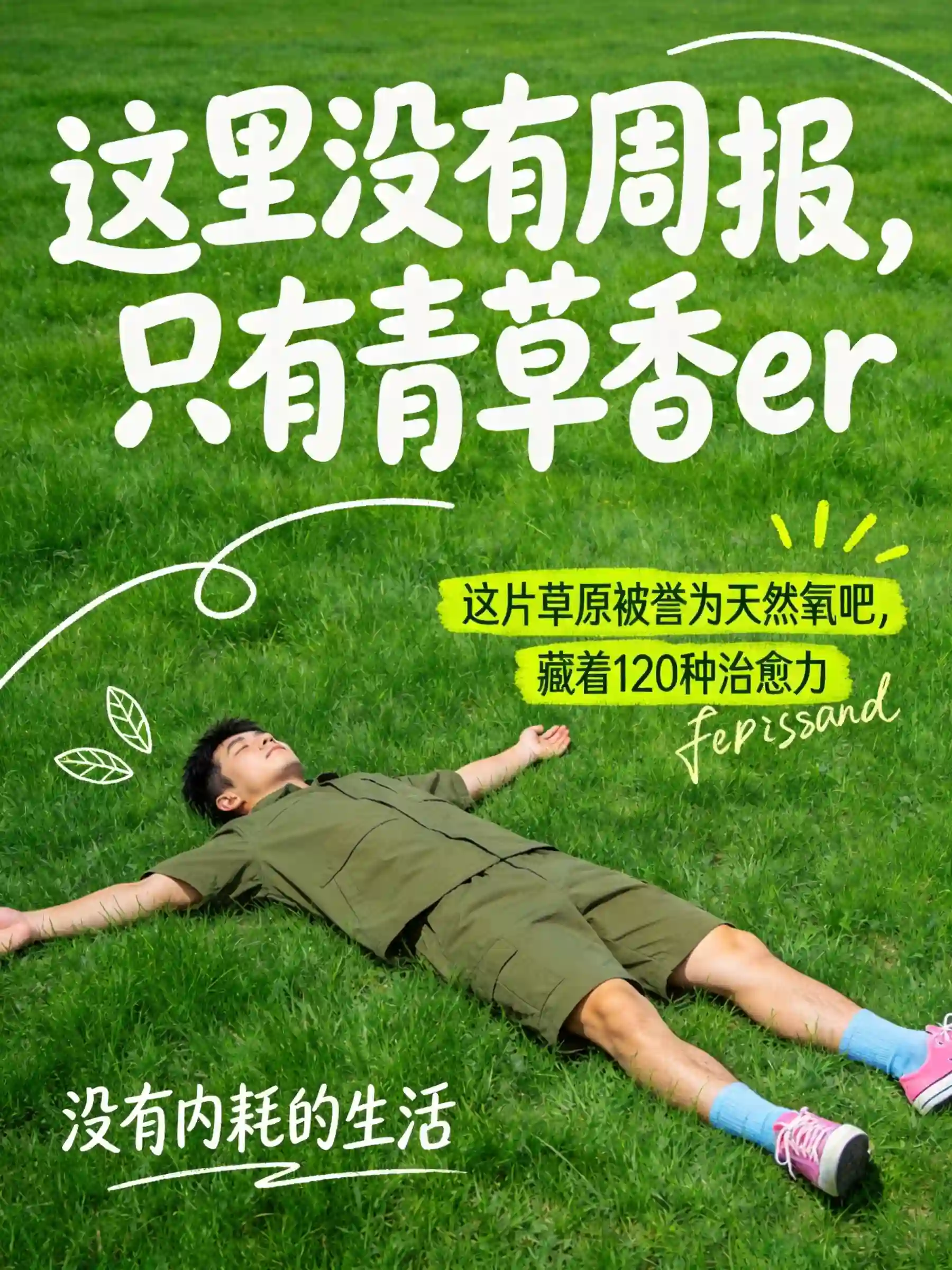 草原治愈松弛感海报