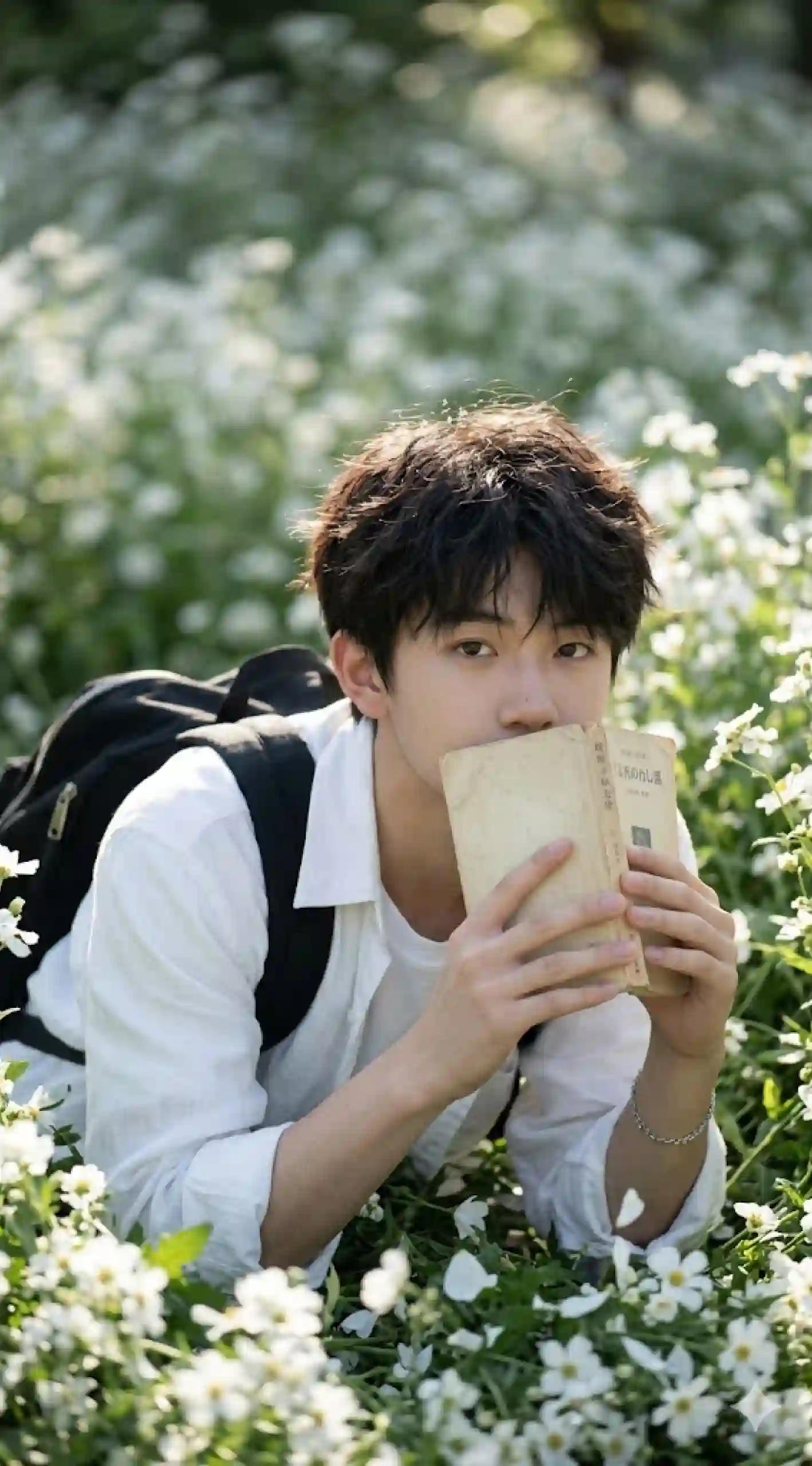 雏菊花海少年